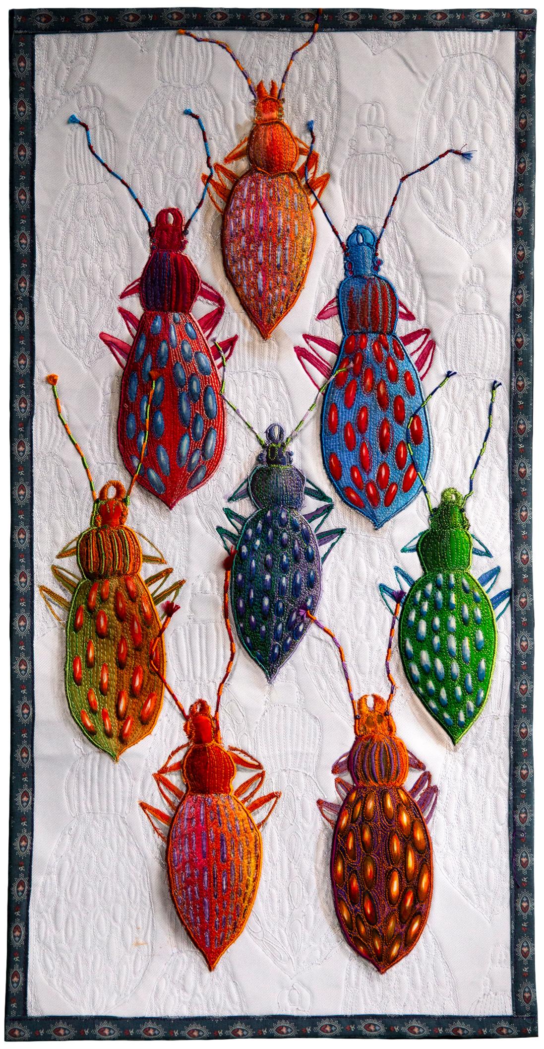 Irene Birute Manion - Blister Beetle Collection